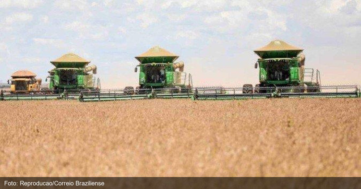 Tarifaço dos EUA deve atingir 36,5% das exportações do agro brasileiro, estima CNA